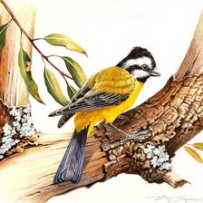 Птица на дереве