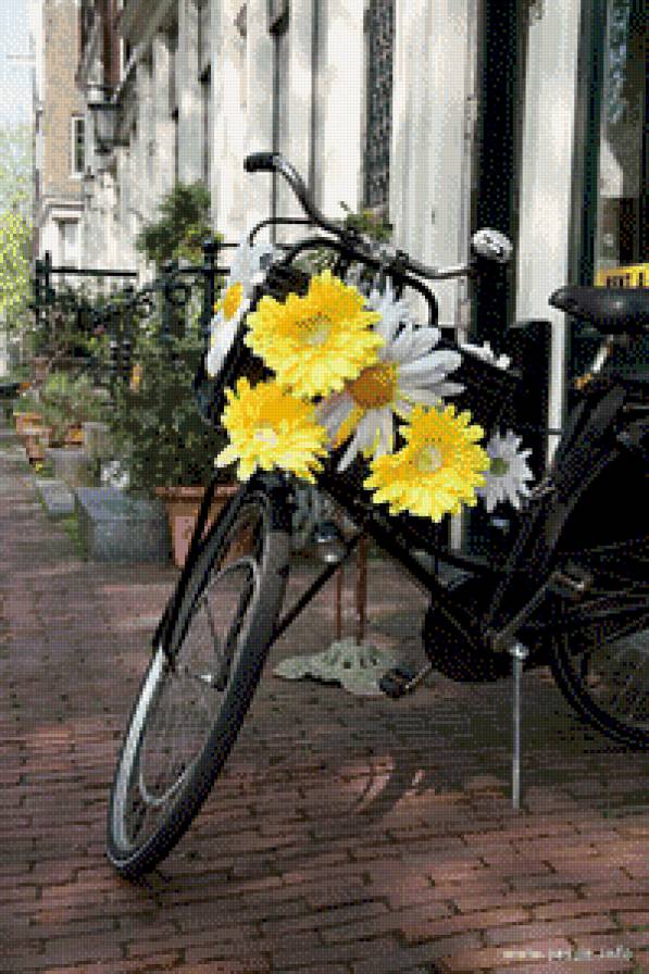 №630033 - предпросмотр