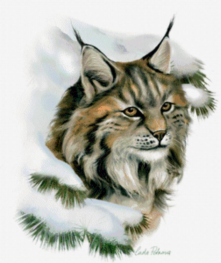 Хищная кошечка - коты, животные, рысь - предпросмотр