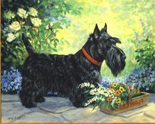 Схема вышивки «собака»