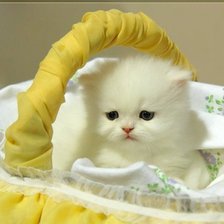 Схема вышивки «котик пасхальный»