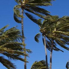 Схема вышивки «ветер»