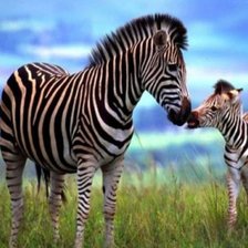 Схема вышивки «любовь»