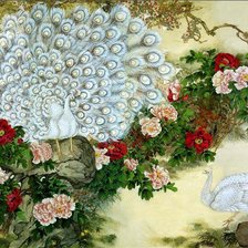 Схема вышивки «белый павлины»