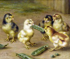 Схема вышивки «не поделили»