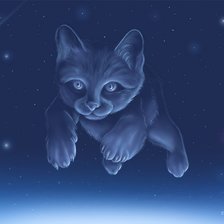 Схема вышивки «космический кот»