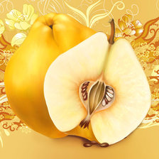 Схема вышивки «Айва»