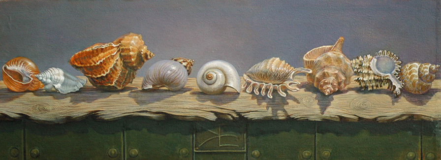 Ракушки - натюрморт, море, ракушки - оригинал