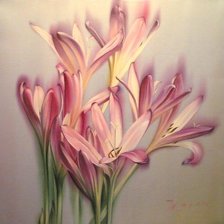 Схема вышивки «Лилии»