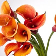 Схема вышивки «цветы»