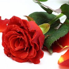 Схема вышивки «2»