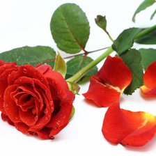 Схема вышивки «3»