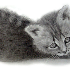 Схема вышивки «Котенок»