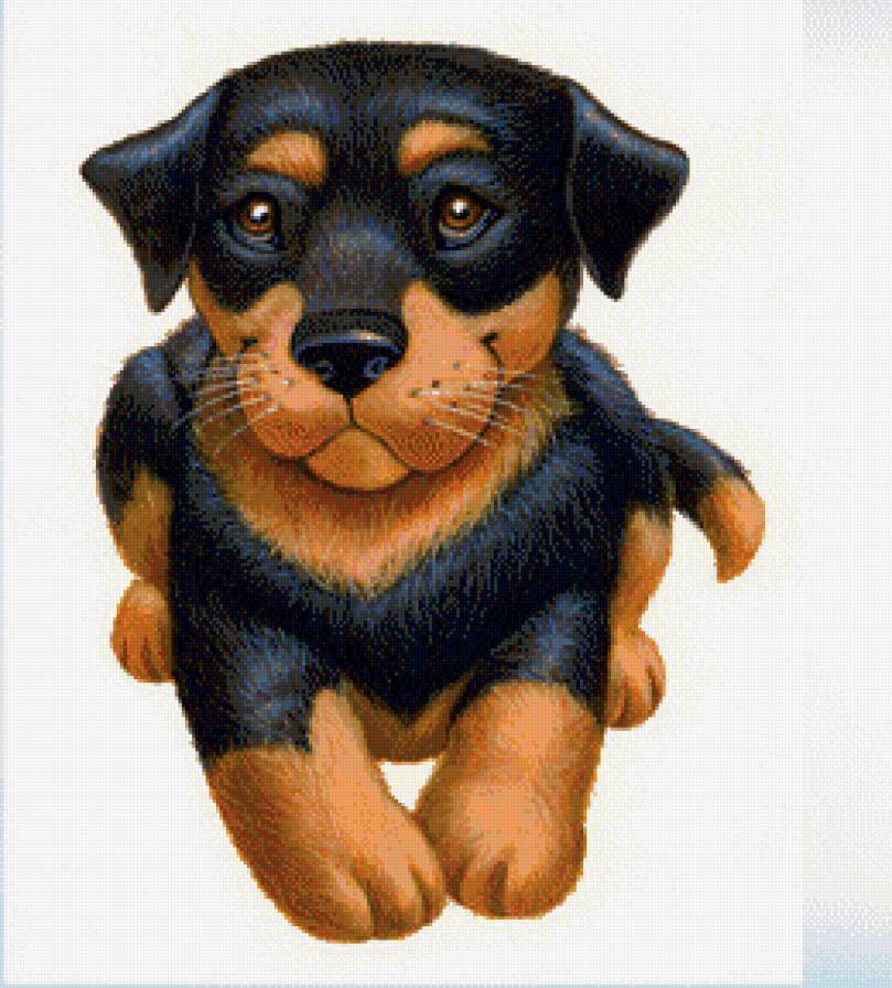 Щенок - собаки, животные - предпросмотр