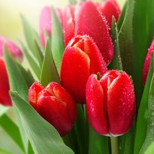 Схема вышивки «цветы»