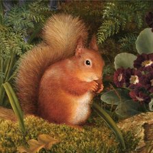 Схема вышивки «Белка с орехами»