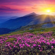 Схема вышивки «№630653»