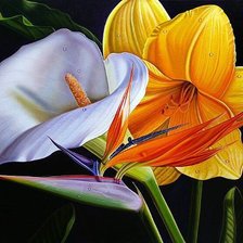 Схема вышивки «№630655»