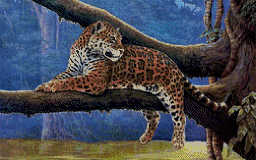 Jaguar - jaguar - предпросмотр