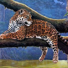 Jaguar
