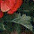 Предпросмотр схемы вышивки «маки» (№630853)