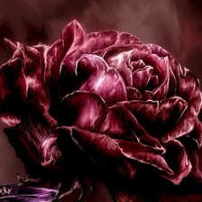 Схема вышивки «Czerwona roza»