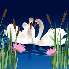 Схема вышивки «Лебеди»