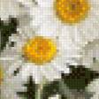 Предпросмотр схемы вышивки «Ромашки» (№631068)