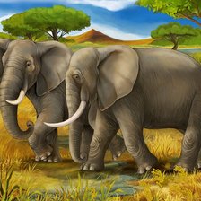 Схема вышивки «серия Африка»