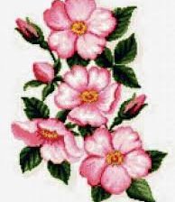 Схема вышивки «персик»