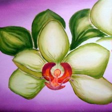 Схема вышивки «дикие орхидеи»