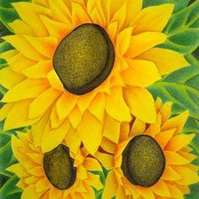 Схема вышивки «цветы солнца»