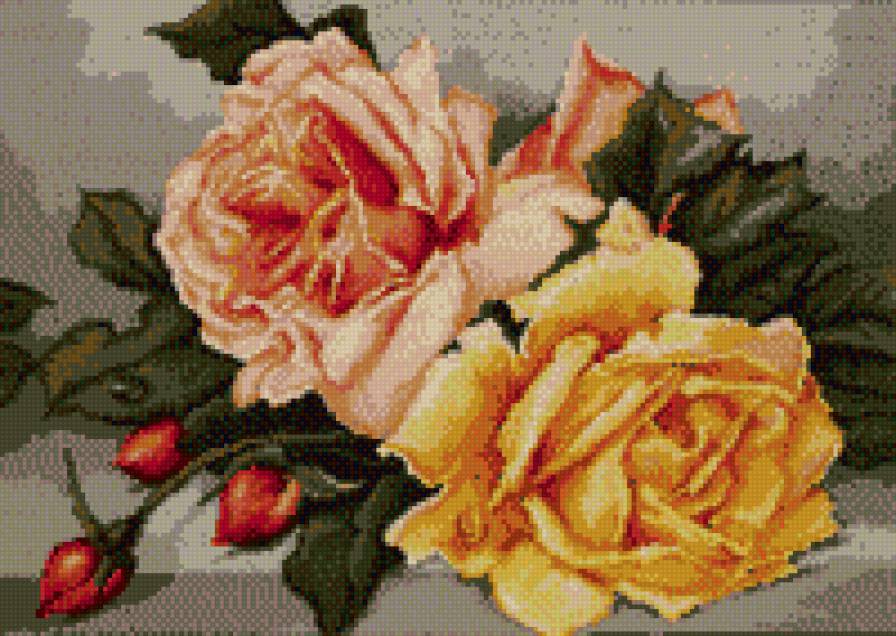 розы - букет, цветы, красота - предпросмотр