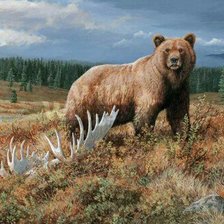 Схема вышивки «медведь»