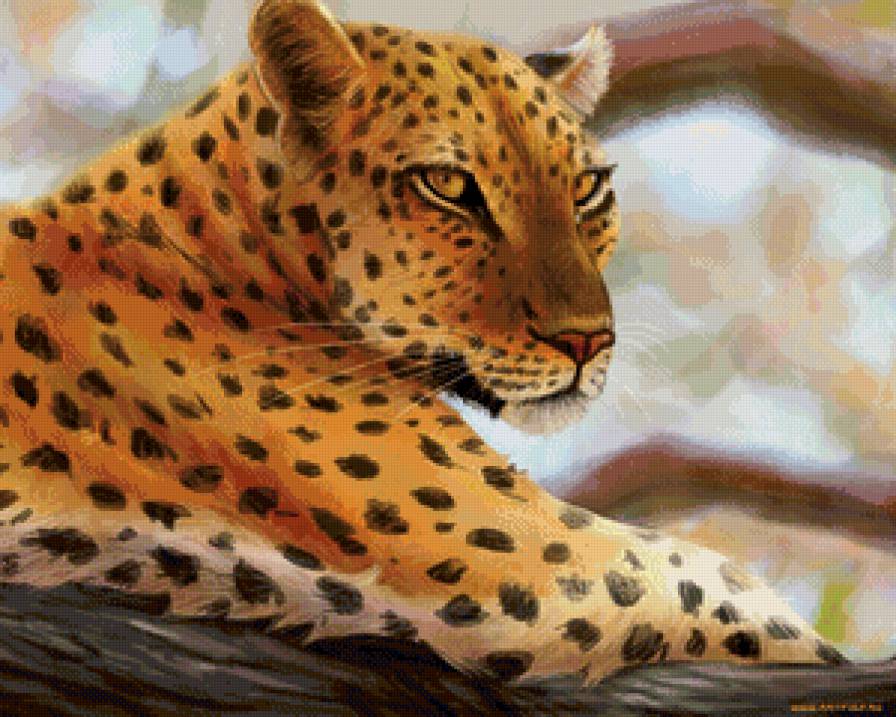 красотка - кошки, животные - предпросмотр