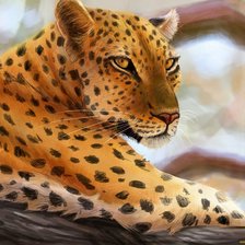 Схема вышивки «красотка»