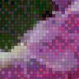 Предпросмотр схемы вышивки «фуксия» (№631401)