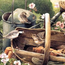 Схема вышивки «птицы»