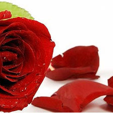 Схема вышивки «№631444»