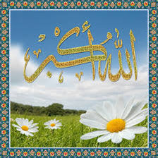 Схема вышивки «али»