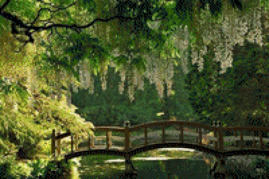 пруд - природа - предпросмотр