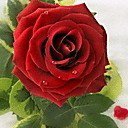 Схема вышивки «№631678»