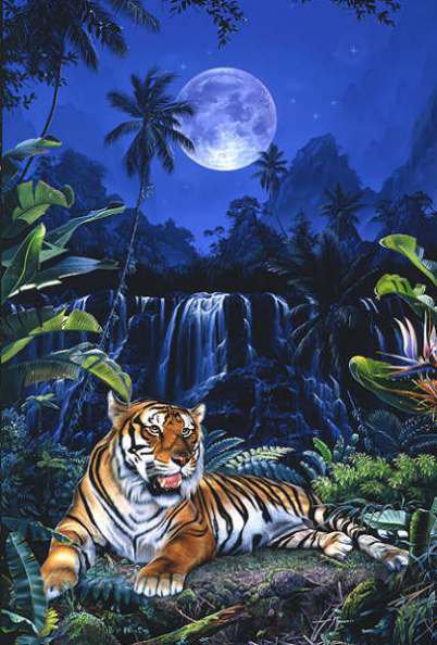 ночной страж - ночь. пейзаж, животные - оригинал