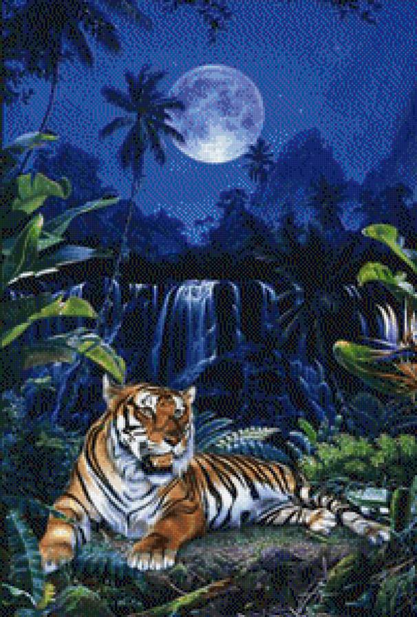 ночной страж - животные, ночь. пейзаж - предпросмотр