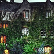 Схема вышивки «Дом 2»