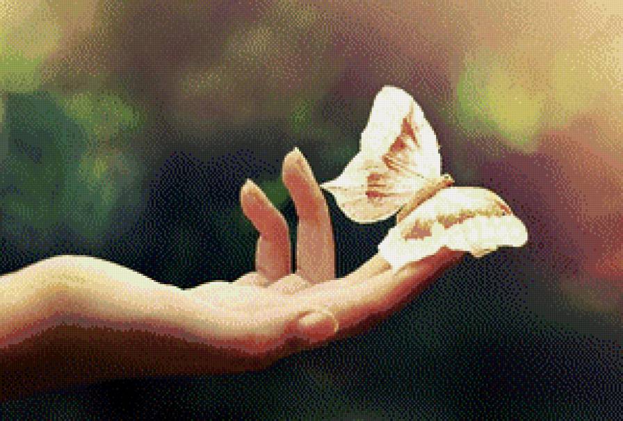 Нежность - бабочка, нежность, рука, весна, природа - предпросмотр