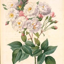 Схема вышивки «Из цикла миниатюры.»