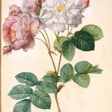 Схема вышивки «Из цикла миниатюры.»