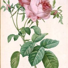 Схема вышивки «Из цикла миниатюры.»