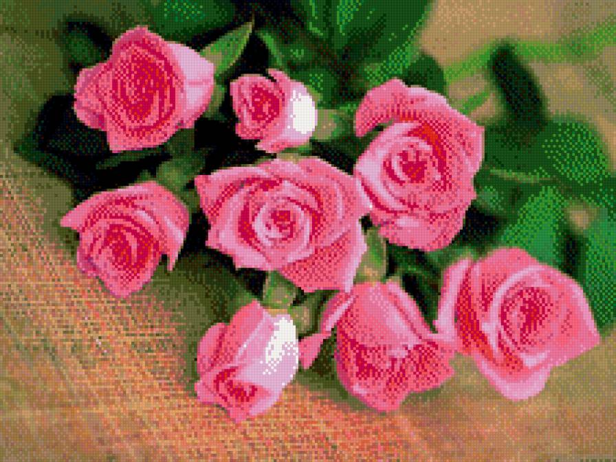 №631883 - розы - предпросмотр